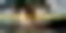 Poste Italiane: "Camera con Vista"