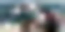 Venezia, liberata in mare una tartaruga soccorsa al Lido