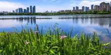 La Cina elabora un piano d'azione per migliorare la qualit&agrave; dell'aria