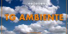 Tg Ambiente - 16/8/2026