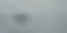 Le balene nuotano nella baia di New York, ma minacciate dalle navi