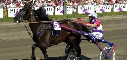 Varenne, &egrave; morto il cavallo leggenda del trotto: aveva 31 anni (e duemila figli)