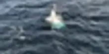 Le immagini della barca a vela alla deriva nel Golfo di Biscaglia
