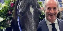Comunicato Stampa: CRV - Varenne. Presidente Zaia: "Addio al Capitano, un campione che ha reso orgogliosa l'Italia"