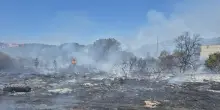 Ostia, rogo sfiora la pineta di Castel Fusano. Possibile atto doloso