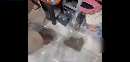 Usava abitazione come base stoccaggio droga, arrestato 55enne catanese