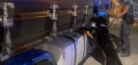 Sequestrati 85 kg di droga al porto di Civitavecchia, arrestato autista bulgaro