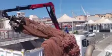 Recuperata "rete fantasma" di 4 tonnellate nelle acque del Tirreno meridionale