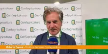 Lavoro, Caponi "Da Confagricoltura agenzia per incontro tra domanda e offerta"