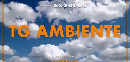 Tg Ambiente - 23/8/2026