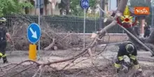 Oltre 1.200 interventi dei Vigili del Fuoco per il Maltempo al Centro Nord nelle ultime 24 ore