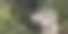 Cina, colate di fango sul confine dopo le alluvioni in Nepal