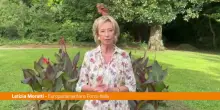 Moratti "Sul caro carburanti e sul caro bollette vincela linea di Forza Italia"