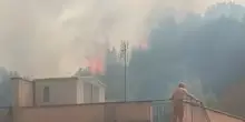 Inferno di fuoco dal Trullo a Monte Mario: fiamme e paura