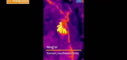 Cina, droni termici monitorano gli elefanti selvatici nello Yunnan