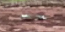 Allarme al Grand Canyon, oltre 20 dispersi dopo un'alluvione lampo