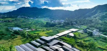 La Cina promuove lo sviluppo di reti elettriche di nuova generazione