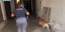 A Catania scoperti 2 chili di marijuana nel sottoscala di un condominio