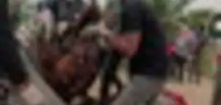 Indonesia, una mamma orango col beb&eacute; "evacuati" dall'incendio