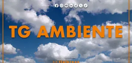 Tg Ambiente - 6/9/2026