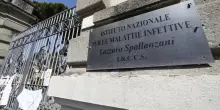 La lebbra &egrave; in citt&agrave;. Ed &egrave; d'importazione