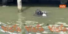 Sommozzatori in azione a Venezia 83 per garantire sicurezza alle star