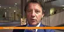 Germania, Tridico "Rispondere a Afd con un'Europa sociale pi&ugrave; efficace"
