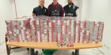 Traffico di "bionde" triplicato in un anno