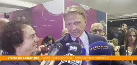 Lollobrigida "I calabresi hanno scelto di dare fiducia a Occhiuto e Gallo"