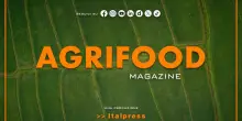 Agrifood Magazine &ndash; 9/9/2026