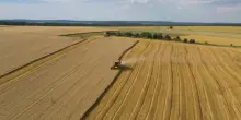 Grano, rese record ma gli agricoltori sono in difficolt&agrave;