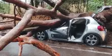 Roma impreparata al maltempo: alberi caduti e stazioni metro chiuse