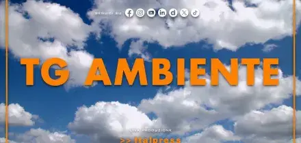 Tg Ambiente - 13/9/2026