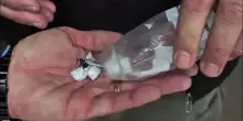 Sequestrate oltre 160 dosi di droga a Roma, 5 arresti