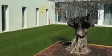 Report denunciava "L'Aquila senza scuole". Falso, ne sono state inaugurate otto