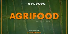 Agrifood Magazine - 16/9/2026