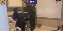 Blitz dei Ros contro il narcotraffico tra Brasile e Italia