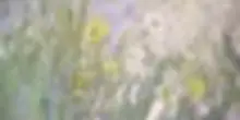 All'asta a Parigi due capolavori di Monet mai esposti