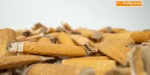 Mozziconi, SOS nei parchi italiani. L'allarme di Legambiente