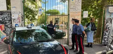 Choc a scuola, la prof accoltellata: "Aveva gli occhi senz'anima". Il piano del 13enne bloccato da un compagno