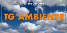 Tg Ambiente - 20/9/2026