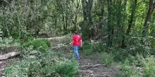 Ragazzino di 12 anni denuncia abusi sessuali nel parco dell'Arrivore
