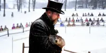 E&rsquo; il giorno della marmotta in Usa, Phil prevede un inverno ancora lungo