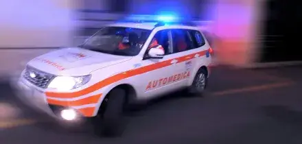 Pitbull lo azzanna in casa, la moglie lo salva uccidendo il cane con un coltello