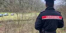 Manziana, 39enne sbranato dai rottweiler: proprietari condannati a un anno