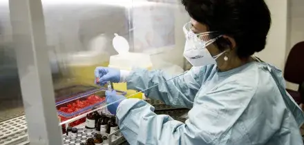 Hantavirus, 3 morti per un focolaio a bordo di una nave da crociera: ecco cos&rsquo;&egrave;