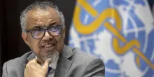 Hantavirus, la nave degli infetti a Tenerife: la lettera del Dg Oms