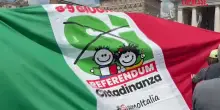 Papa Leone XIV, in piazza San Pietro la bandiera del referendum sulla cittadinanza