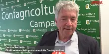 Napoli, Confagricoltura presenta il Primo rapporto Agroenergie