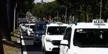 Tassista nega la corsa a disabile con cane guida e la aggredisce: la denuncia a Roma